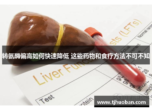 转氨酶偏高如何快速降低 这些药物和食疗方法不可不知
