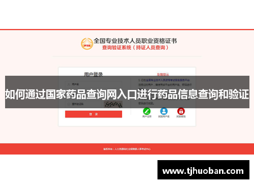 如何通过国家药品查询网入口进行药品信息查询和验证