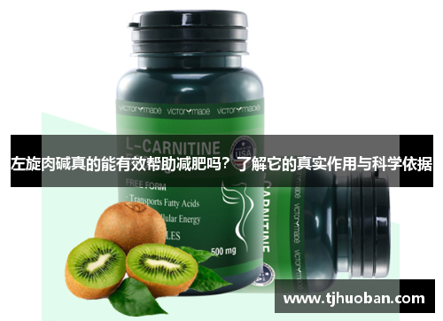 左旋肉碱真的能有效帮助减肥吗?了解它的真实作用与科学依据